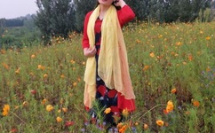 一本道理在线不卡免费